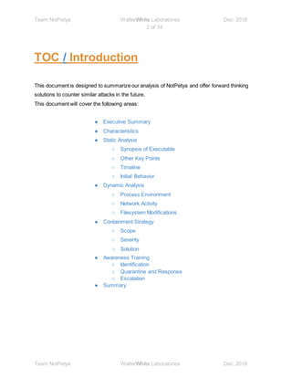 Full report final for NotPetya | DOCX