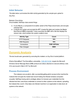 Full report final for NotPetya | DOCX