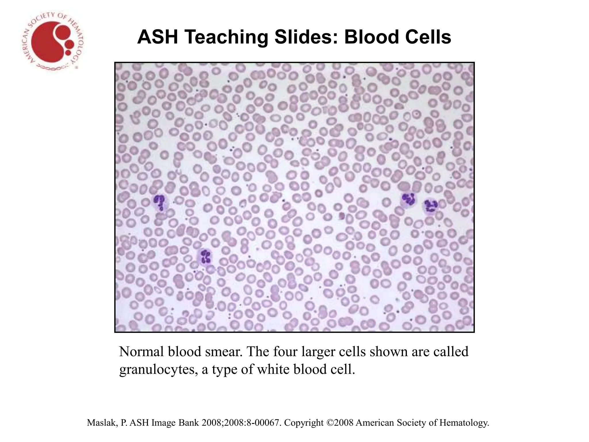 Full Set of Slides.ppt