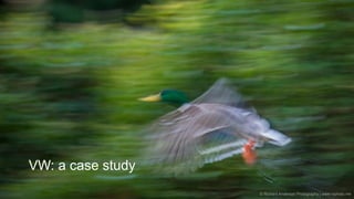 Governance | Risk Management | Assurance © 2016 AndersonRisk
© Richard Anderson Photography | www.raphoto.me
VW: a case study
 