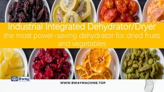 Industrial Integrated Dehydrator/Dryer
the most power-saving dehydrator for dried fruits
and vegetables
 