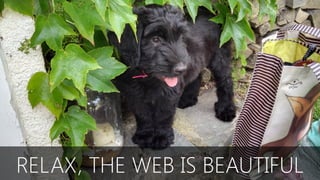RELAX, THE WEB IS BEAUTIFUL
 