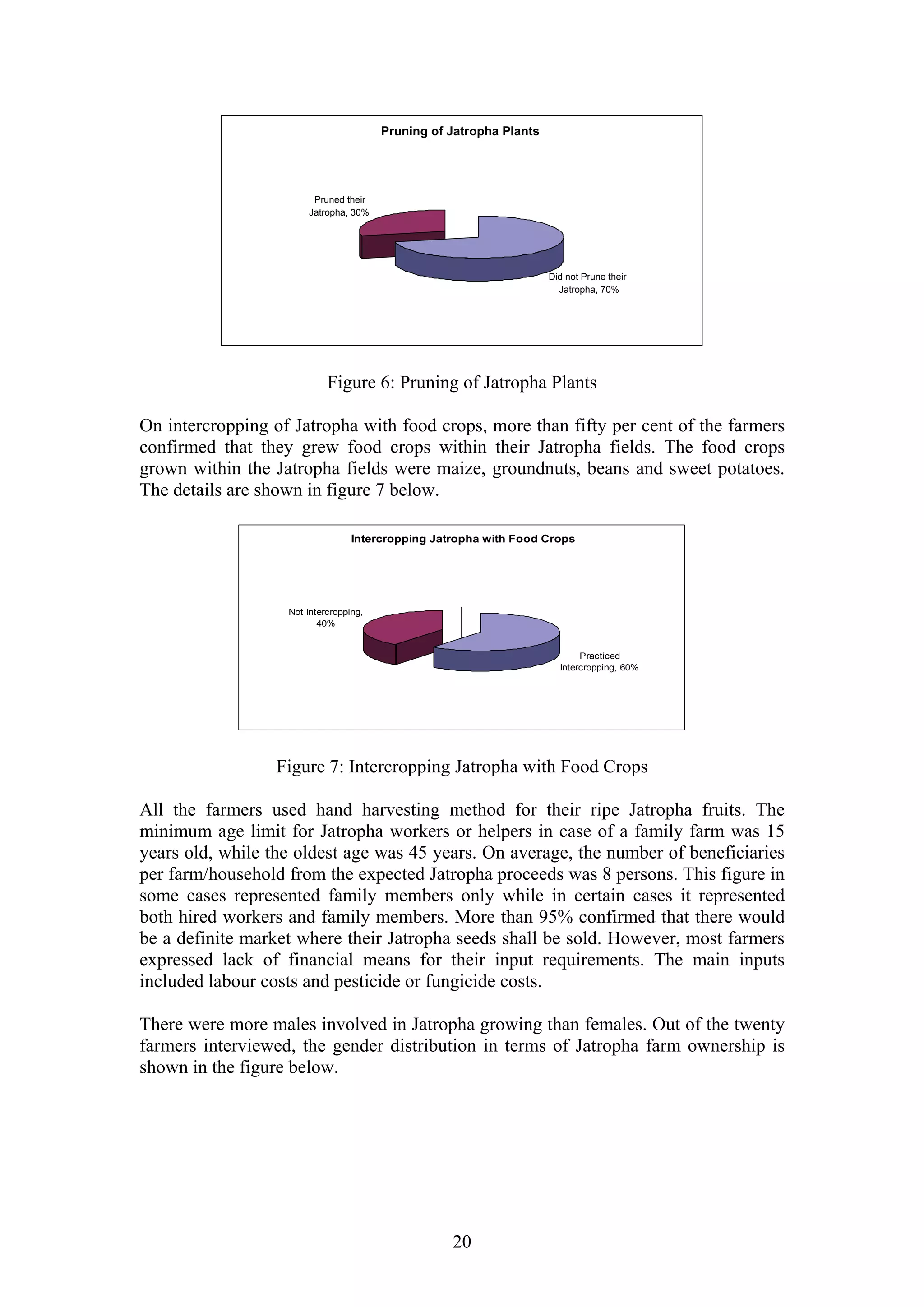 Pruning of Jatropha Plants




                        Pruned their
                       Jatropha, 30%




                                                                     Did not Prune their
                                                                       Jatropha, 70%




                            Figure 6: Pruning of Jatropha Plants

On intercropping of Jatropha with food crops, more than fifty per cent of the farmers
confirmed that they grew food crops within their Jatropha fields. The food crops
grown within the Jatropha fields were maize, groundnuts, beans and sweet potatoes.
The details are shown in figure 7 below.

                                  Intercropping Jatropha with Food Crops




                   Not Intercropping,
                          40%


                                                                            Practiced
                                                                       Intercropping, 60%




                  Figure 7: Intercropping Jatropha with Food Crops

All the farmers used hand harvesting method for their ripe Jatropha fruits. The
minimum age limit for Jatropha workers or helpers in case of a family farm was 15
years old, while the oldest age was 45 years. On average, the number of beneficiaries
per farm/household from the expected Jatropha proceeds was 8 persons. This figure in
some cases represented family members only while in certain cases it represented
both hired workers and family members. More than 95% confirmed that there would
be a definite market where their Jatropha seeds shall be sold. However, most farmers
expressed lack of financial means for their input requirements. The main inputs
included labour costs and pesticide or fungicide costs.

There were more males involved in Jatropha growing than females. Out of the twenty
farmers interviewed, the gender distribution in terms of Jatropha farm ownership is
shown in the figure below.




                                                   20
 