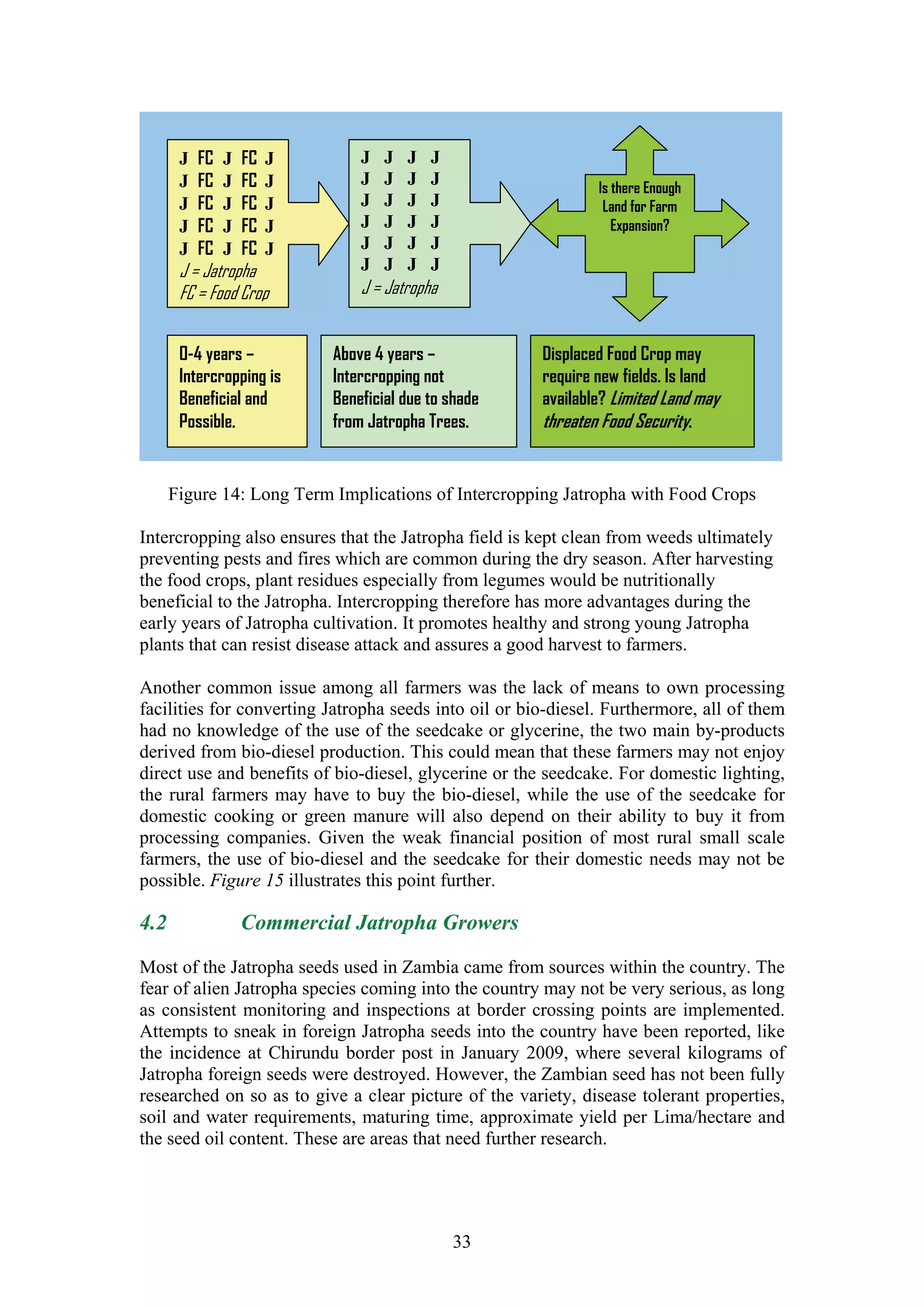 J   FC   J   FC   J       J   J   J   J
       J   FC   J   FC   J       J   J   J   J                 Is there Enough
       J   FC   J   FC   J       J   J   J   J                  Land for Farm
       J   FC   J   FC   J       J   J   J   J                    Expansion?
       J   FC   J   FC   J       J   J   J   J
       J = Jatropha              J   J   J   J
       FC = Food Crop            J = Jatropha


       0-4 years –           Above 4 years –           Displaced Food Crop may
       Intercropping is      Intercropping not         require new fields. Is land
       Beneficial and        Beneficial due to shade   available? Limited Land may
       Possible.             from Jatropha Trees.      threaten Food Security.


      Figure 14: Long Term Implications of Intercropping Jatropha with Food Crops

Intercropping also ensures that the Jatropha field is kept clean from weeds ultimately
preventing pests and fires which are common during the dry season. After harvesting
the food crops, plant residues especially from legumes would be nutritionally
beneficial to the Jatropha. Intercropping therefore has more advantages during the
early years of Jatropha cultivation. It promotes healthy and strong young Jatropha
plants that can resist disease attack and assures a good harvest to farmers.

Another common issue among all farmers was the lack of means to own processing
facilities for converting Jatropha seeds into oil or bio-diesel. Furthermore, all of them
had no knowledge of the use of the seedcake or glycerine, the two main by-products
derived from bio-diesel production. This could mean that these farmers may not enjoy
direct use and benefits of bio-diesel, glycerine or the seedcake. For domestic lighting,
the rural farmers may have to buy the bio-diesel, while the use of the seedcake for
domestic cooking or green manure will also depend on their ability to buy it from
processing companies. Given the weak financial position of most rural small scale
farmers, the use of bio-diesel and the seedcake for their domestic needs may not be
possible. Figure 15 illustrates this point further.

4.2                 Commercial Jatropha Growers

Most of the Jatropha seeds used in Zambia came from sources within the country. The
fear of alien Jatropha species coming into the country may not be very serious, as long
as consistent monitoring and inspections at border crossing points are implemented.
Attempts to sneak in foreign Jatropha seeds into the country have been reported, like
the incidence at Chirundu border post in January 2009, where several kilograms of
Jatropha foreign seeds were destroyed. However, the Zambian seed has not been fully
researched on so as to give a clear picture of the variety, disease tolerant properties,
soil and water requirements, maturing time, approximate yield per Lima/hectare and
the seed oil content. These are areas that need further research.




                                                 33
 