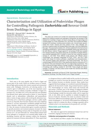 Citation: El-Daly RA, Merwad AMA, Barakat AB, Hassan SE and Askora A. Characterization and Utilization
of Podoviridae Phages for Controlling Pathogenic Escherichia coli Serovar O168 from Ducklings in Egypt. J
Bacteriol Mycol. 2018; 5(6): 1079.
J Bacteriol Mycol - Volume 5 Issue 6 - 2018
ISSN : 2471-0172 | www.austinpublishinggroup.com
Merwad et al. © All rights are reserved
Journal of Bacteriology and Mycology
Open Access
Special Article - Escherichia coli
Characterization and Utilization of Podoviridae Phages
for Controlling Pathogenic Escherichia coli Serovar O168
from Ducklings in Egypt
El-Daly RA1,3
, Merwad AMA2
*, Barakat AB1
,
Hassan SE3
and Askora A4
1
Department of Microbiology, Faculty of Science, Ain
Shams University, Cairo 11566, Egypt
2
Department of Zoonoses, Faculty of Veterinary Medicine,
Zagazig University, 44519, Zagazig, Egypt
3
Animal Health Research Institute, Zagazig, Sharkia,
Egypt
4
Department of Microbiology and Botany, Faculty of
Science, Zagazig University, 44519 Zagazig, Egypt
*Corresponding author: Abdallah MA Merwad,
Elzerah Square, Zagazig, Faculty of Veterinary Medicine,
Zagazig University, Egypt
Received: August 13, 2018; Accepted: September 12,
2018; Published: September 19, 2018
Abstract
This study was carried out to isolate and characterize lytic bacteriophages
against the multidrug resistant and pathogenic Escherichia coli serotype O168
isolated from ducklings in Egypt; and also to study efficacy of single phage and
cocktail phages on In vitro inactivation of E. coli O168. One hundred and fifteen
samples from ducklings, including caecal contents, skin, minced breast, gizzard,
swabs from mouth, cloacae and inner surface of liver, were collected, pre-
enriched in peptone water and streaked MacConkey agar, and Eosin-Methylene
Blue agar. The presumptive isolates of E. coli were subjected for biochemical and
serological identifications. Antimicrobial susceptibility testing was performed by
the disk diffusion method. Phages against E. coli serotype O168 were isolated
from sewage samples using plaque assay test. An evaluation of phages efficacy
was achieved separately and in cocktail to control the most multidrug resistant
serotype E. coli O168. Three different single plaques with different plaque
morphologies and diameters designated as ECa1, ECb1, and ECc1 were
picked and chosen for further purification, amplification and characterization.
The recovered phages were belonged to the family Podoviridae. The use of
cocktail phages (ECa1/ECb1/ECc1) was significantly effective (reductions of 7.4
log CFU/ml 12hrs post treatment) than the use single phage suspensions. This
study confirmed the higher efficacy of phage cocktails in controlling the infection
of ducklings with multidrug resistant E. coli O168. These phages will reduce
mortality in ducklings, and also protect human health from adverse side effects
of antibiotic residues.
Keywords: Escherichia coli Serovar O168; Podoviridae Phages; Multidrug
Resistance; Ducklings; One-Step Growth Curve; Phage Cocktails
Introduction
Duck meat is the most popular type of food in Egypt and
various parts of the world. Ducks are excellent sources of animal-
derived high quality proteins that contain essential and nonessential
amino acids. Pathogenic Escherichia coli infecting poultry is the
causative agent of colibacillosis, one of the most important causes
of economic losses in industry of poultry worldwide. In Egypt, five
serotypes of E. coli (O86, O127, O114, O26 and O78) were identified
from gizzard, heart, spleen and muscles of ducks [1]. Some bacterial
diseases such as salmonellosis, colibacillosis, and pasteurelliosis
infect a variety of organ systems with involving the alimentary tract.
Escherichia coli is a food borne pathogen, and has a public health
concern [2]. Recently, there has been attention that some multidrug
resistant E. coli have represented a worldwide multiple food borne
disease disorders related to the contaminated food consumption
[3]. Also, the misuse of antimicrobial agents in poultry production
for growth promotion and treatment purposes increases the major
interest for the multidrug resistance that are frequently seen among
serovars of E. coli and Salmonella [4]. Antimicrobial-resistant food
borne pathogens is recognized as an essential public health in the
developing countries and this resistance reduces the therapeutic
options for treatment of human salmonellosis [5]. These aspects lead
to a dangerous threat to public health and the searches for alternative
strategies are crucial to overcome the spread of resistant E. coli and
their evolution becomes an absolute necessity. Many studies have
suggested that bacteriophages are considered as potential therapeutic
agents for the biocontrol of multi- drug resistant bacteria in poultry
[6,7]. Bacteriophages are viruses, which attack only bacterial cells
and assume a dynamic part in the biology of indigenous habitats,
affecting the dynamic of prokaryotic population [8]. The advantages
of bacteriophages include the interaction ability with its target host
cells, its lytic ability and its capability to multiply throughout the
process of infection. Therefore, this study was aimed to isolate and
characterize different bacteriophages against the multidrug resistant
strains of pathogenic E. coli serovar O168 isolated from ducklings in
Egypt as well as to evaluate the efficacy of phages separately and in
cocktail on the In vitro inactivation for the growth of E. coli O168.
Materials and Methods
Ethical statement
The study was approved by Institutional Animal Care and Use
Committee, Zagazig University (ZU-IACUC).
Collection and preparation of samples
One hundred and fifteen samples from ducklings with an age
 