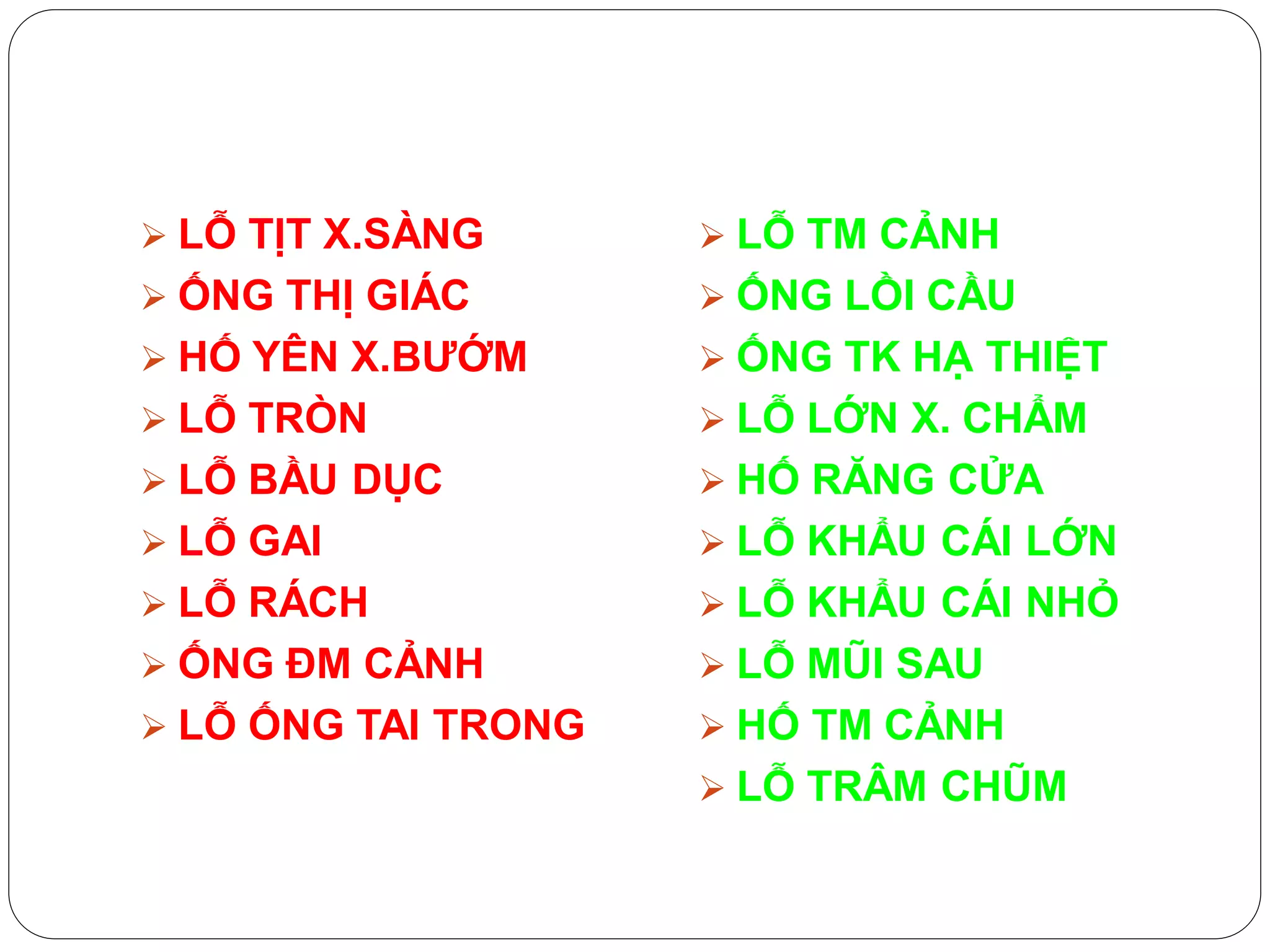 full Thực Hành Giải Phẫu 1.pdf