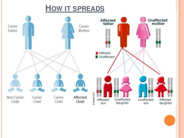 hereditary disease project