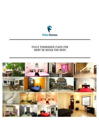 Fully Furnished Flats for Rent in Noida for Boys
