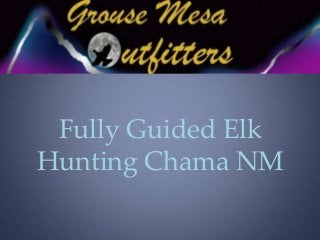 Fully Guided Elk
Hunting Chama NM
 