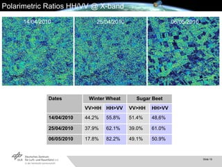14/04/2010 25/04/2010 06/05/2010 Polarimetric Ratios HH/VV @ X-band 49.1% 39.0% 51.4% VV>HH 17.8% 37.9% 44.2% VV>HH Sugar Beet Winter Wheat Dates HH>VV HH>VV 48,6% 55.8% 14/04/2010 61.0% 62.1% 25/04/2010 50.9% 82.2% 06/05/2010 