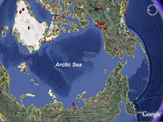 Arctic Sea 