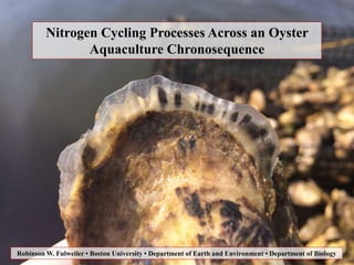 Nitrogen Cycling Processes Across an Oyster
Aquaculture Chronosequence
Robinson W. Fulweiler • Boston University • Department of Earth and Environment • Department of Biology
 