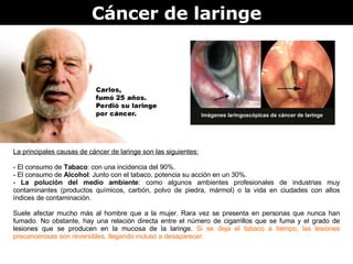 Cáncer de laringe La principales causas de cáncer de laringe son las siguientes: - El consumo de  Tabaco : con una incidencia del 90%. - El consumo de  Alcohol : Junto con el tabaco, potencia su acción en un 30%.  La polución del medio ambiente : como algunos ambientes profesionales de industrias muy contaminantes (productos químicos, carbón, polvo de piedra, mármol) o la vida en ciudades con altos índices de contaminación.  Suele afectar mucho más al hombre que a la mujer. Rara vez se presenta en personas que nunca han fumado. No obstante, hay una relación directa entre el número de cigarrillos que se fuma y el grado de lesiones que se producen en la mucosa de la laringe.  Si se deja el tabaco a tiempo, las lesiones precancerosas son reversibles, llegando incluso a desaparecer.   
