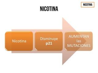 Nicotina
Disminuye
p21
AUMENTAN
las
MUTACIONES
 