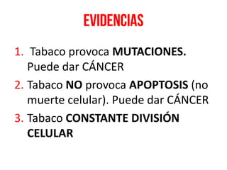 1. Tabaco provoca MUTACIONES.
Puede dar CÁNCER
2. Tabaco NO provoca APOPTOSIS (no
muerte celular). Puede dar CÁNCER
3. Tabaco CONSTANTE DIVISIÓN
CELULAR
 