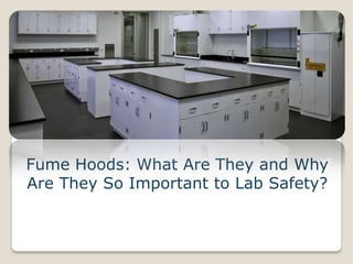 Fume Hoods: What Are They and Why
Are They So Important to Lab Safety?
 