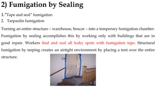2) Fumigation by Sealing
1.“Tape and seal” fumigation
2. Tarpaulin fumigation
Turning an entire structure – warehouse, boxcar – into a temporary fumigation chamber.
Fumigation by sealing accomplishes this by working only with buildings that are in
good repair. Workers find and seal all leaky spots with fumigation tape. Structural
fumigation by tarping creates an airtight environment by placing a tent over the entire
structure.
 