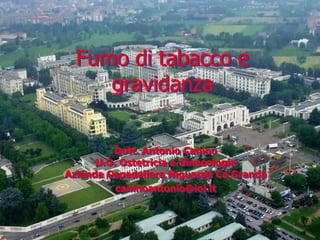 Fumo di tabacco e
gravidanza
Dott. Antonio Canino
U.O. Ostetricia e Ginecologia
Azienda Ospedaliera Niguarda Cà Granda
caninoantonio@iol.it

 