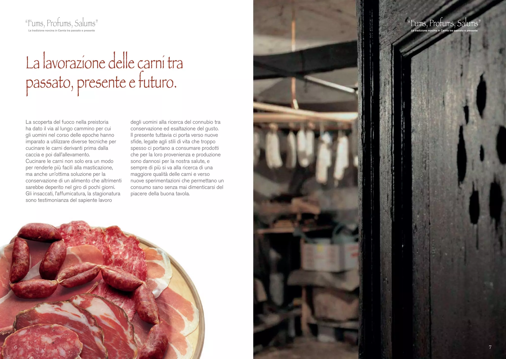 La scoperta del fuoco nella preistoria
ha dato il via al lungo cammino per cui
gli uomini nel corso delle epoche hanno
imparato a utilizzare diverse tecniche per
cucinare le carni derivanti prima dalla
caccia e poi dall’allevamento.
Cucinare le carni non solo era un modo
per renderle più facili alla masticazione,
ma anche un’ottima soluzione per la
conservazione di un alimento che altrimenti
sarebbe deperito nel giro di pochi giorni.
Gli insaccati, l’affumicatura, la stagionatura
sono testimonianza del sapiente lavoro
degli uomini alla ricerca del connubio tra
conservazione ed esaltazione del gusto.
Il presente tuttavia ci porta verso nuove
sfide, legate agli stili di vita che troppo
spesso ci portano a consumare prodotti
che per la loro provenienza e produzione
sono dannosi per la nostra salute, e
sempre di più si va alla ricerca di una
maggiore qualità delle carni e verso
nuove sperimentazioni che permettano un
consumo sano senza mai dimenticarsi del
piacere della buona tavola.
La lavorazione delle carni tra
passato, presente e futuro.
6 7
 