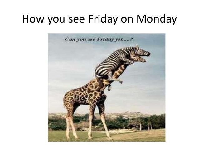 Enjoy Funny Pictures Gifs Videos From looo