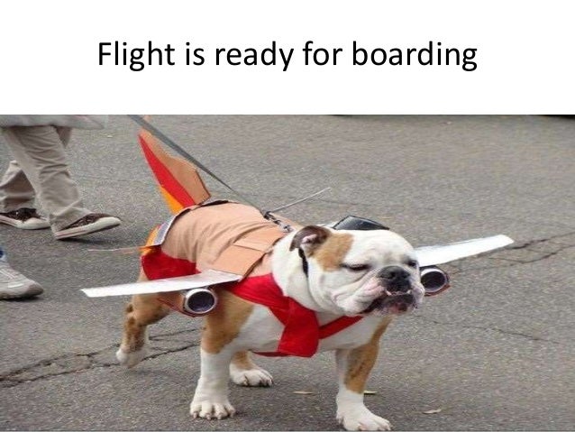 Enjoy Funny Pictures Gifs Videos From looo