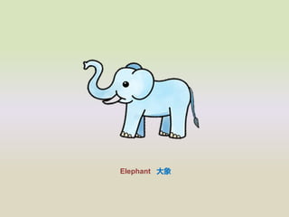 Elephant 
 