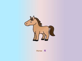 Horse R
 