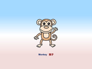 Monkey 
 