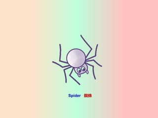 Spider ֩
 