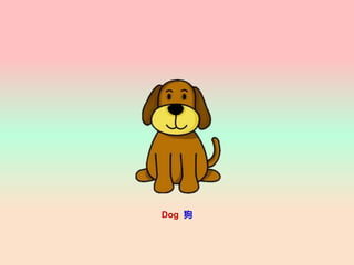 Dog 
 