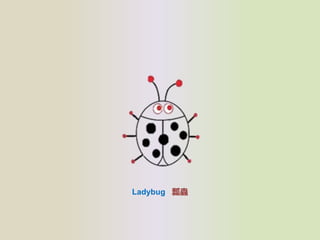 Ladybug ưx
 