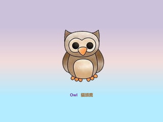 Owl ؈^
 