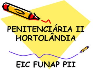 PENITENCIÁRIA II
  HORTOLÂNDIA


 EIC FUNAP PII
 