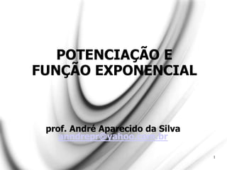 POTENCIAÇÃO E
FUNÇÃO EXPONENCIAL
prof. André Aparecido da Silva
anndrepr@yahoo.com.br
1
 