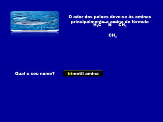 O odor dos peixes deve-se às aminas
principalmente a amina de fórmula
H3C N CH3
CH3
Qual o seu nome? trimetil amina
 