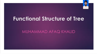 Functional Structure of Tree
MUHAMMAD AFAQ KHALID
 