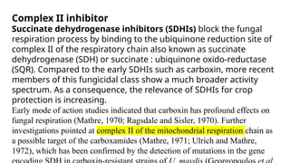 Funcicides nice nice bro you oyobfi gjgh hgvhhhjn. Hood(1).pptx