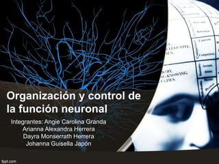 Organización y control de
la función neuronal
Integrantes: Angie Carolina Granda
Arianna Alexandra Herrera
Dayra Monserrath Herrera
Johanna Guisella Japón
 