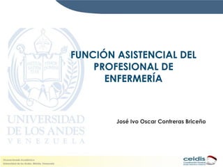 FUNCIÓN ASISTENCIAL DEL
    PROFESIONAL DE
      ENFERMERÍA



        José Ivo Oscar Contreras Briceño
 