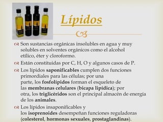 Lípidos

 Son sustancias orgánicas insolubles en agua y muy
solubles en solventes orgánicos como el alcohol
etílico, éte...