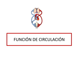 FUNCIÓN DE CIRCULACIÓN
 