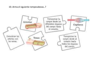 10.-Arma el siguiente rompecabezas..?
 