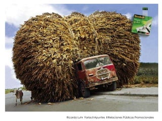 Ricardo Luhr  Farias  I  Apuntes  I  Relaciones Públicas Promocionales 