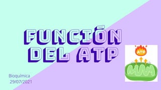 Función
del ATP
Bioquímica
29/07/2021
 
