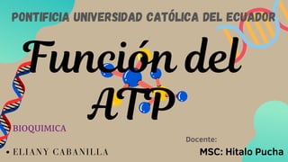 Función del
ATP
BIOQUIMICA
ELIANY CABANILLA
Pontificia Universidad Católica del Ecuador
Docente:
MSC: Hitalo Pucha
 