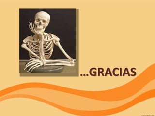 …GRACIAS
 