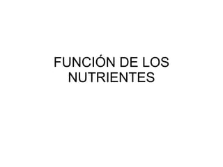 FUNCIÓN DE LOS NUTRIENTES 