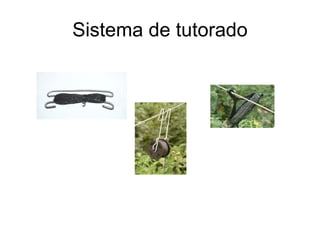 Sistema de tutorado 