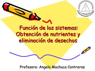 Función de los sistemas: Obtención de nutrientes y eliminación de desechos Profesora: Angela Machuca Contreras 
