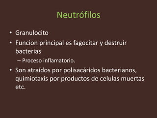 Neutrófilos
• Granulocito
• Funcion principal es fagocitar y destruir
  bacterias
  – Proceso inflamatorio.
• Son atraídos por polisacáridos bacterianos,
  quimiotaxis por productos de celulas muertas
  etc.
 